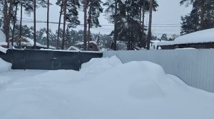 Киса и домосед, что общего? Этому столику больше не наливать.