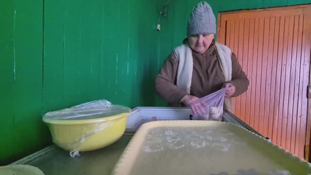 Поехала за поросями/посеяла петунию / погода -4 сегодня/ каких уток хочу смотреть онлайн