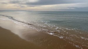 Что я нашла на берегу в Витязево Люди 🐽 Расстроена увиденным