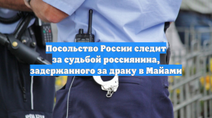 Посольство России следит за судьбой россиянина, задержанного за драку в Майами