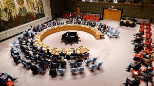 Россия и Бразилия выступили за реформу Совбеза ООН