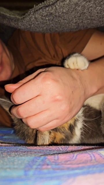 Мой ласковый и нежный постельный клоп😻 смотреть онлайн