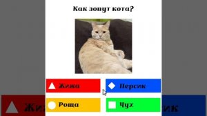 Как зовут кота?