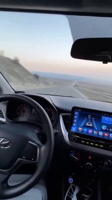 Коты быстрого реагирования