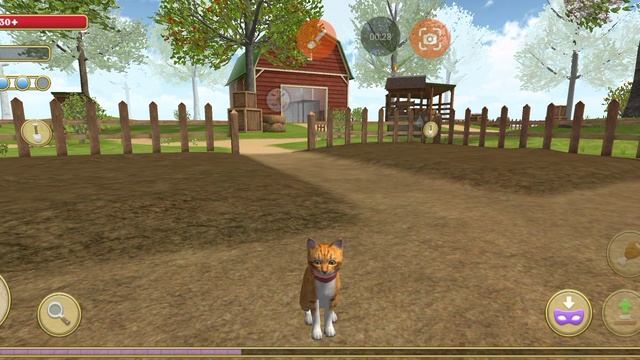 ответьте на вопросы кто правильно ответит объявлю в примой эфир