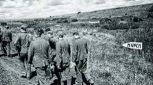 83 года назад - Состоялось освобождение Курска войсками Воронежского фронта