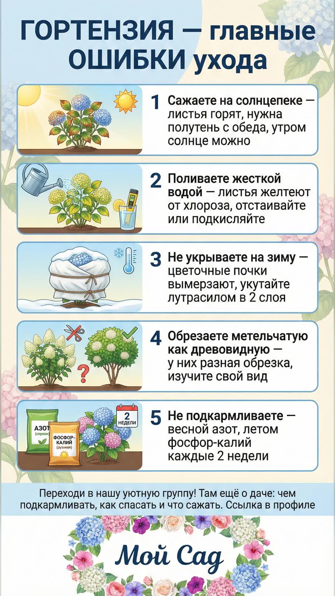 Как не убить гортензию: главные ошибки ухода
