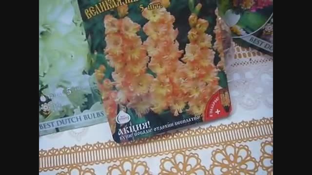 2207. Февральские покупки саженцев, луковичных цветов.