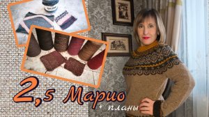 2,5 Марио и ближайшие процессы