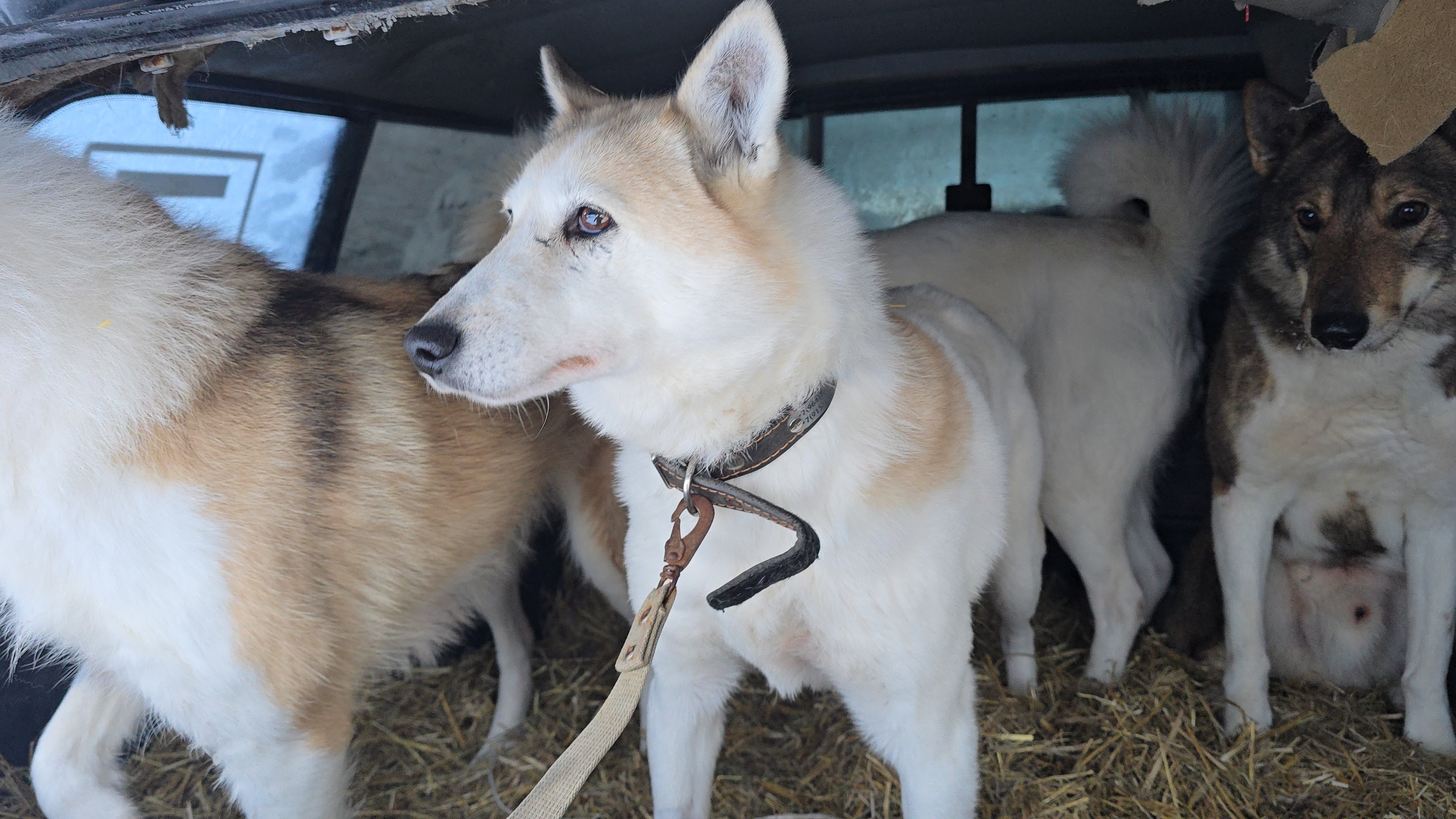 Белкунье сняли швы смотреть онлайн