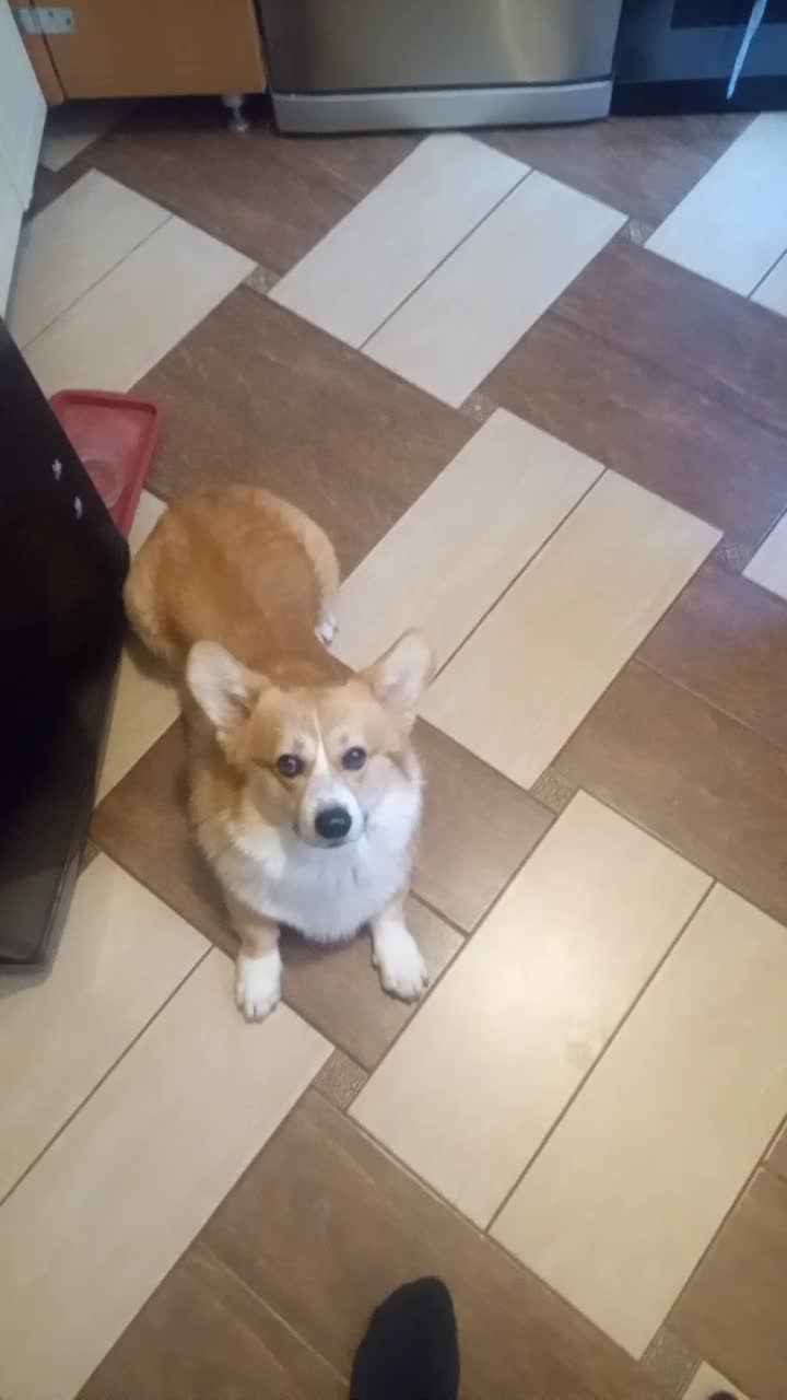 Всем доброго вечера дома друган Лева встречает!