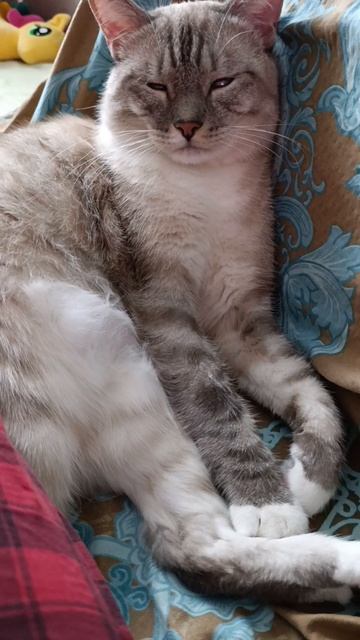 Каспер спит смотреть онлайн