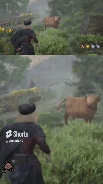 Люблю я эту флору и фауну😄#vilmarionv #hogwartslegacy #хогвартс #hogwartslegacygameplay #gaming смотреть онлайн