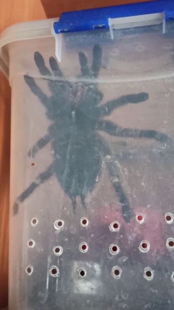 У Машеньки тусовка... смотреть онлайн