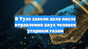 В Туле завели дело после отравления двух человек угарным газом