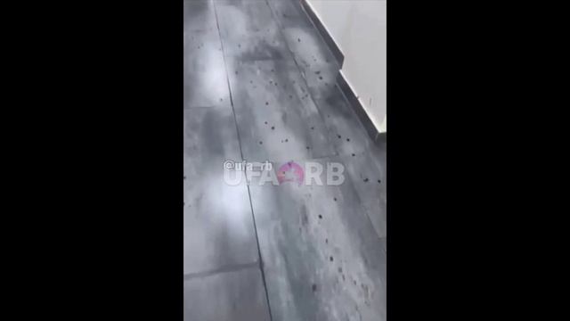 НАПАДЕНИЕ НА ОБЩЕЖИТИЕ В УФЕ СЕГОДНЯ. ВИДЕО ИЗНУТРИ.... смотреть онлайн