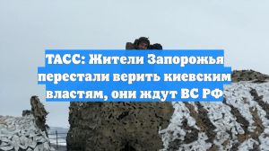 ТАСС: Жители Запорожья перестали верить киевским властям, они ждут ВС РФ