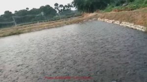 РЫБНАЯ ФЕРМА