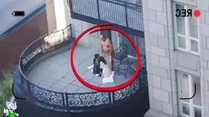 Это Стоит Увидеть! Случаи 1 На 1000000 Снятые На Камеру