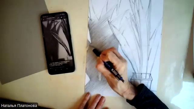 Цветок и его тень (простые карандаши)