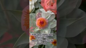 Я ведь с ним,как ты цвела.