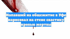 Напавший на общежитие в Уфе нарисовал на стене свастику кровью жертвы
