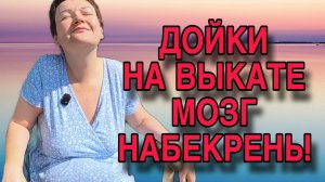 И ТАК КАЖДЫЙ ДЕНЬ. ПИРАТСКАЯ ЖИЗНЬ. ОБЗОР.