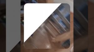 1000048032.mp4 (Собака наблюдает за устройством лестницы на 2 этаж в доме А-фрейм)