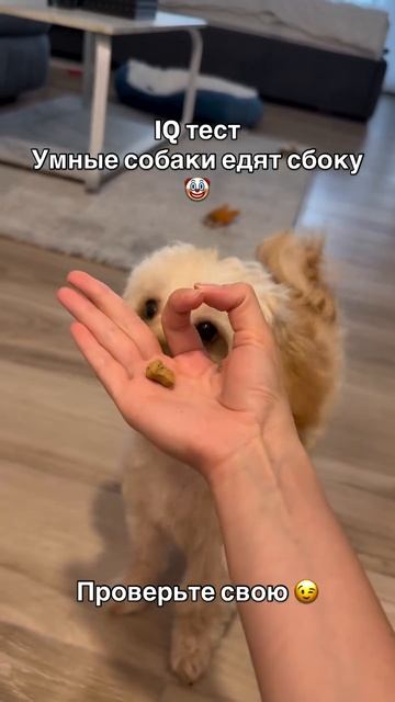 Проверяем👌))