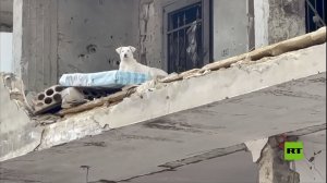 جنوب لبنان.. مشاهد خاصة بقناة RT من بلدة عيتا الشعب المدمرة