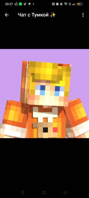 ястреб каратэ