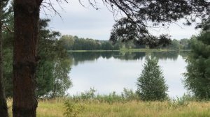 о спектакле "БЕЛКА"