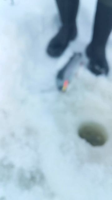 Вип зона.На резину