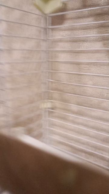 голубичка смотреть онлайн