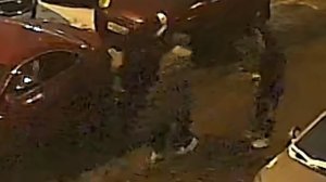 "НОВОГОДНИЙ ВОР!"