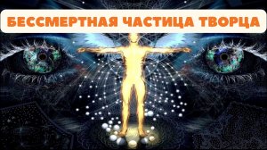 Человеческий дух как бессмертная частица творца и вместилеще воли и разума.