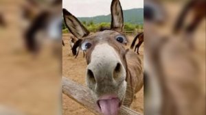 С понедельника по пятницу/музыкальная автопауза/февраль