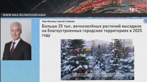 Собянин рассказал об озеленении вылетных магистралей столицы