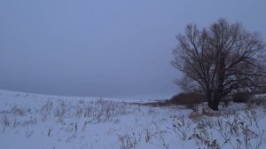 Непростая охота на зайца в начале февраля