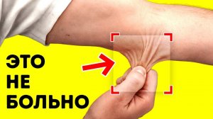 Пощипайте свой локоть и посмотрите, что произойдет + 100 невероятных фактов о теле