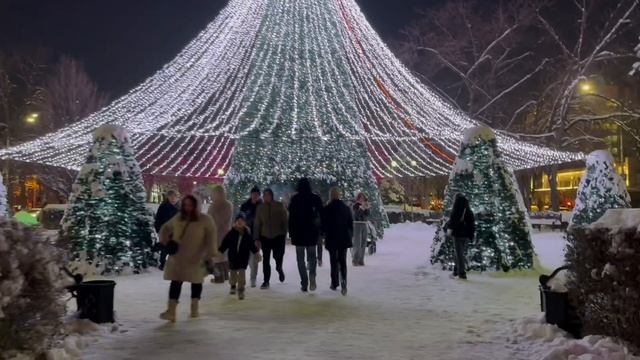 Шурик и Лидочка под Ёлкой | #краснодар#мирувлечений Шурик и Лидочка под Ёлкой | #краснодар#мирувлечений