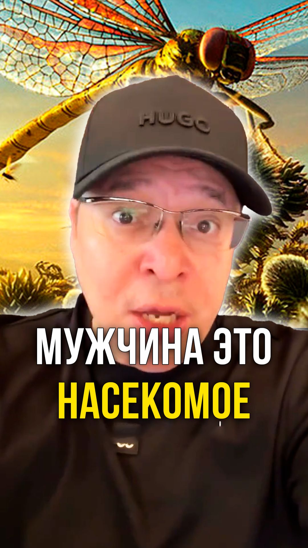 Мужчина это насекомое