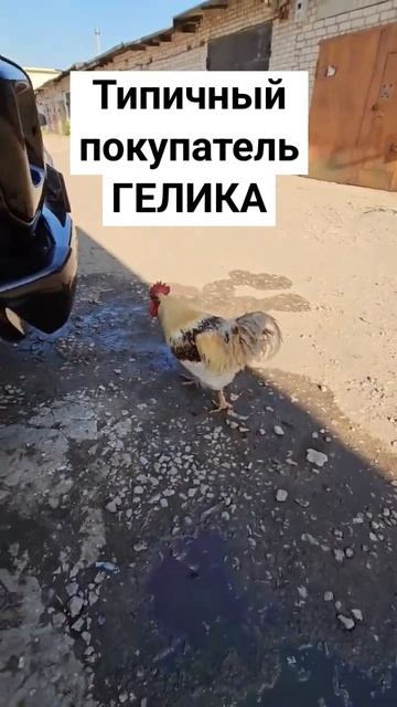 Типичный покупатель гелика #highlights #гелик Типичный покупатель гелика #highlights #гелик