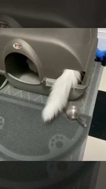 Не ищет лёгких путей