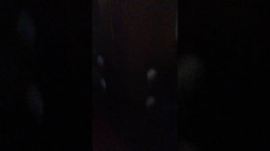 VID_20260131_231726.mp4