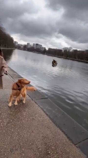 Что делать если вам отказали в знакомстве?