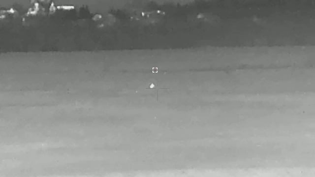 Лиса и заяц на одном поле