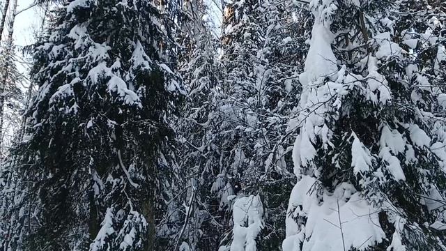 В зимним лесу. смотреть онлайн
