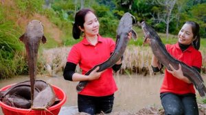 Ловлю сомов для продажи на местном рынке и приготовления пищи.