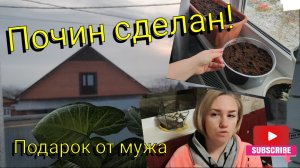 Переезд на ЮГ 🌞Пчин сделан 🌱 Подарок от мужа🎁 Погодные качели на Кубани❄☀